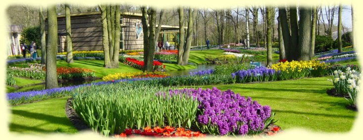 keukenhof4 keukenhof4