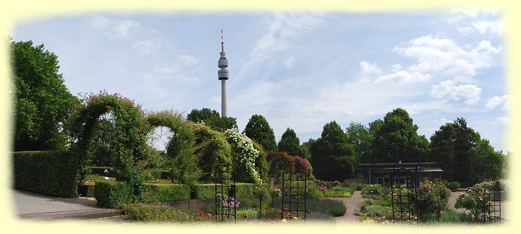 Westfalenpark - Rosenweg