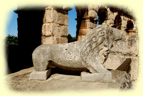 Pula - der Lwe im alten Amphitheater in Pula - Kroatien
