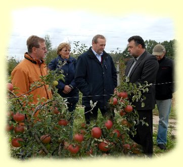 oekologische Obstplantage in der Siedlung Jantarnyj - Gebiet Gomel -