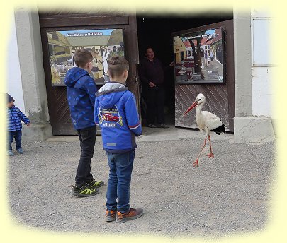 Salem 2023 - Affenberg - Storchenopa Peter