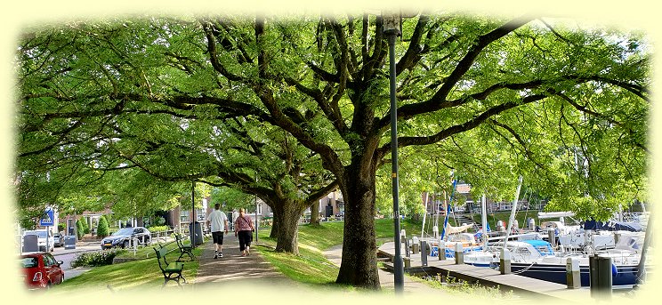 Enkhuizen - Buitenhaven - 1