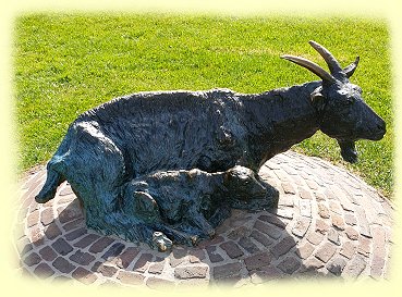 Enkhuizen - Ziegenstatue