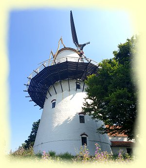 Middelburg - Windmhle De Hoop