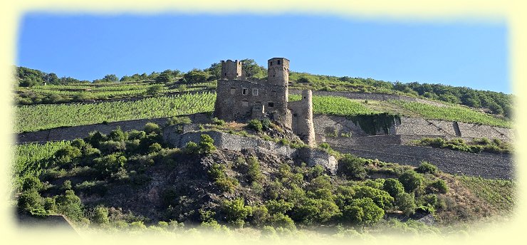 Burg Ehrenfels - 2025