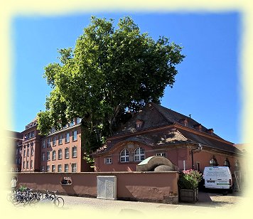 Stra�burg 2025 - Musikschule St. Thomas