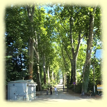 Stra�burg 2025 - Parc de L�Orangerie