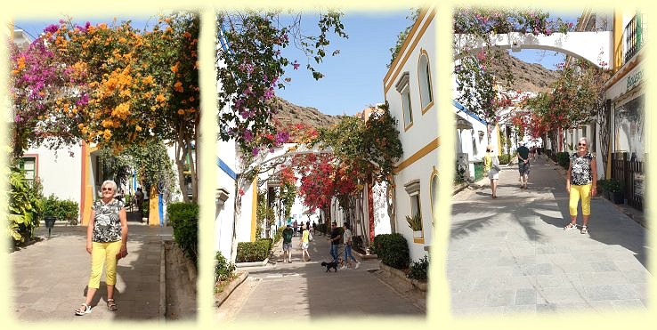 Puerto de Mogan 2024 - Bougainvillea