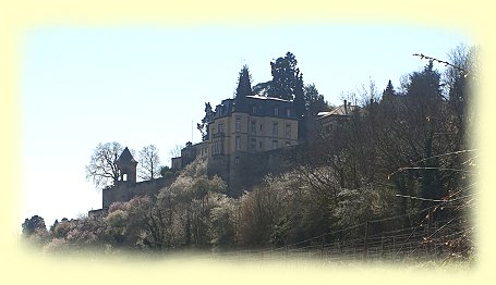 Schloss  Winzingen