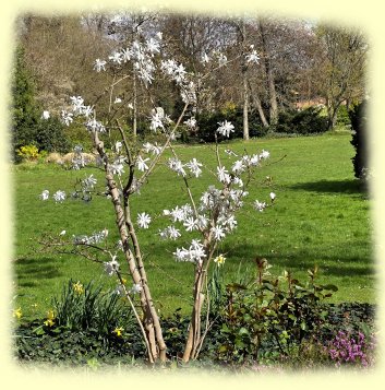 Bad D�rkheim 2026 - Kurpark
