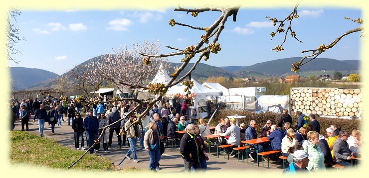 Edenkoben 2026 - Mandelbl�tenfest - 3