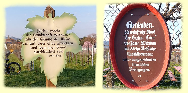 Edenkoben 2026 - Spr�che