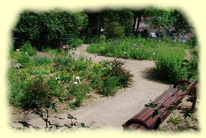 Weinheim - Kräutergarten