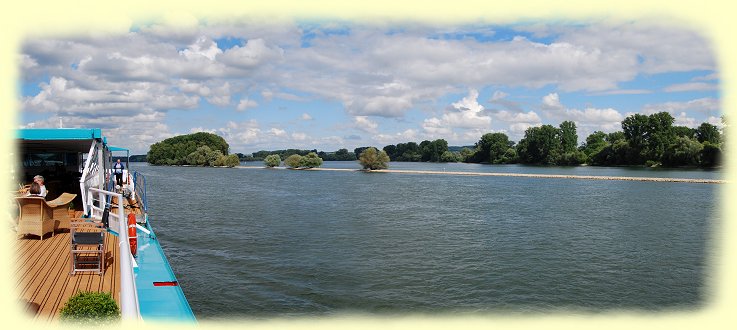 Rheinaue bei Rdesheim