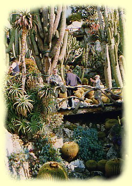 botanische Garten - Jardin Exotique