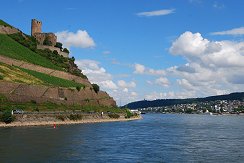 Rhein -- Startseite - 2017