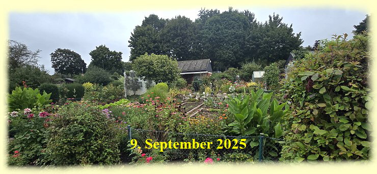 i - 9. September 2025