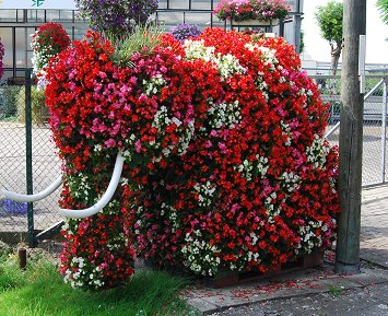 Elefant am Blumengeschäft Plattfaut in Süddinker