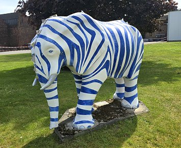 Zebrachenfant - WDI 2026 - 1