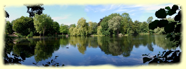 Teich im Friedrich-Ebert- Park