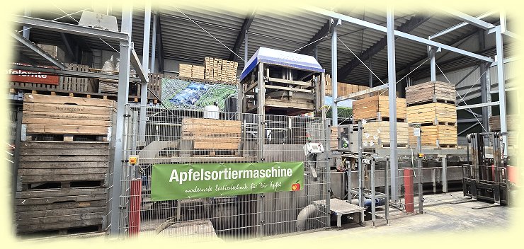 Herzapfelhof - Apfelsortiermaschine