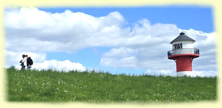 Lhe - Leuchtfeuer-Sommerfletherwisch
