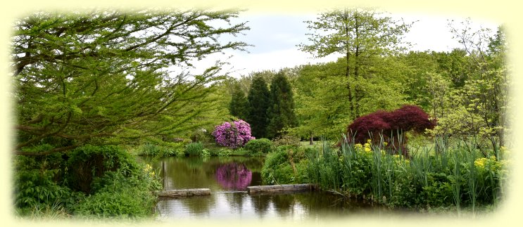 Rhododendronpark Gristede - Wasserlandschaft