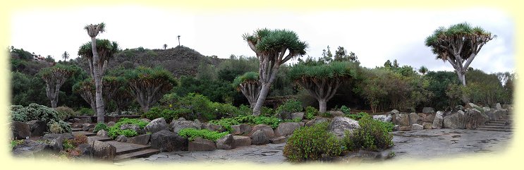 Jardin Botanico - Gran Canaria - Plaza Vernado Navarro