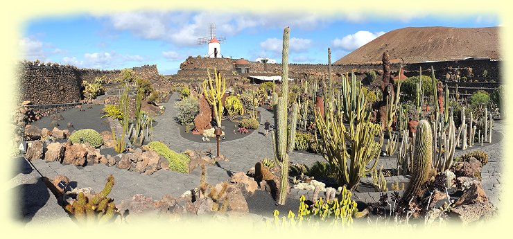 Jardin de Cactus - 2020