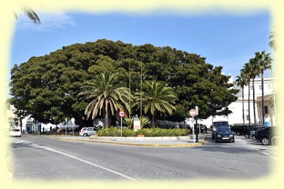 Cadiz 2018 - Verkehrsinsel in der Avenida Duque de Najera