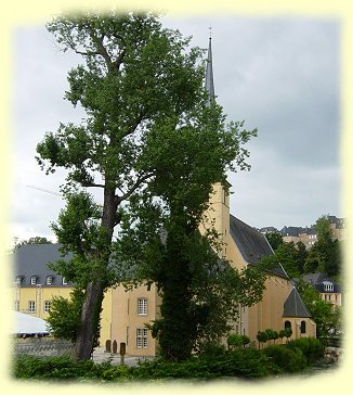 Luxemburg - Alzettetal - Abtei Neumnster mit der Johanneskirche