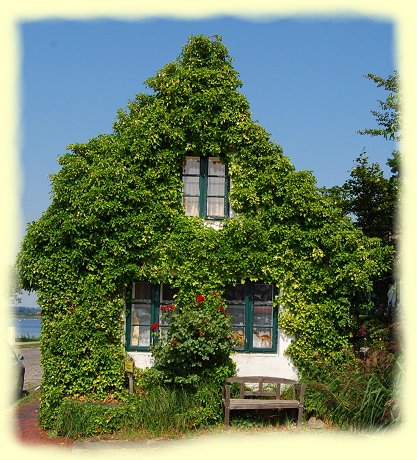Neustadt - romantisches kleines Haus