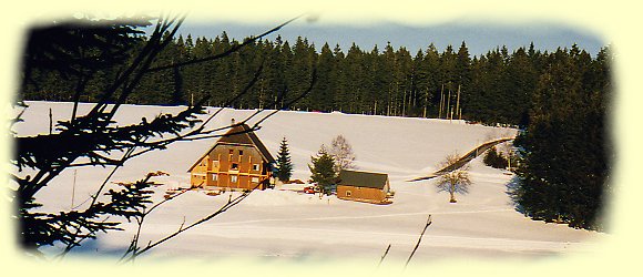 Haus Farnberg - Schnwald