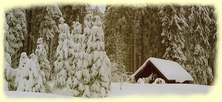 Schnwald - Winterlandschaft