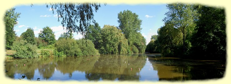 Teich im Selbachpark